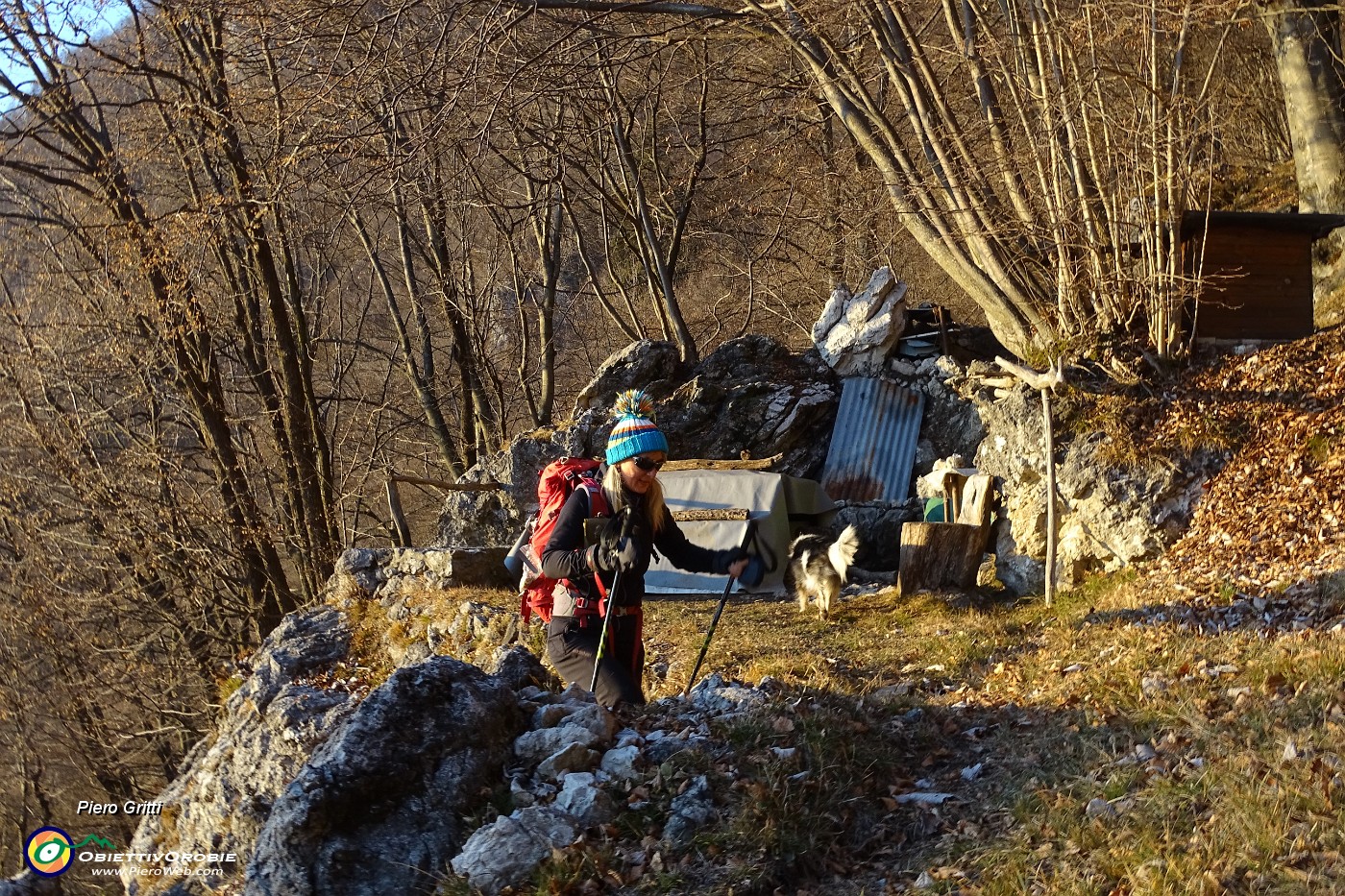 86 Poco sopra il sentiero, in piccola radura soleggiata sotto roccioni, ... .JPG